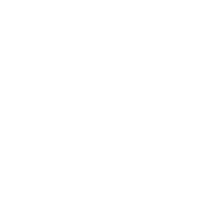 whatsapp-icon-w – Proelca